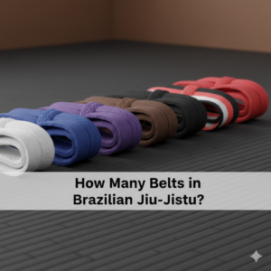 How Many Belts in Brazilian Jiu-Jitsu?