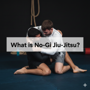 what is no-gi jiu jitsu
